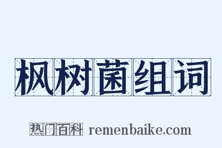 枫树菌组词是什么意思的图片
